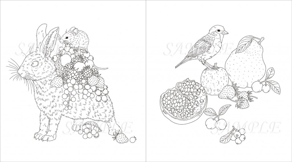 小鳥花朵動物著色繪圖案集3